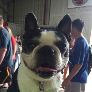 Meet your Posher, Barbara